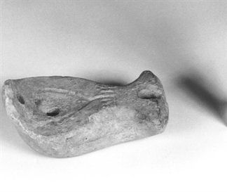 lucerna a testa d´uccello